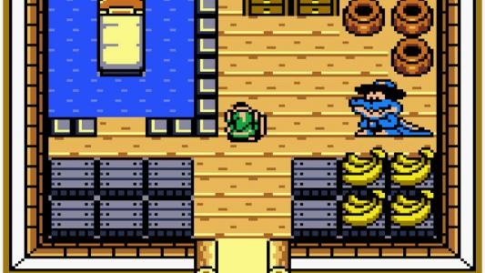 The Legend of Zelda: Link's Awakening DX screenshot