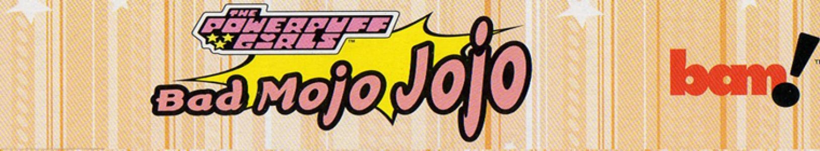 The Powerpuff Girls: Bad Mojo Jojo banner