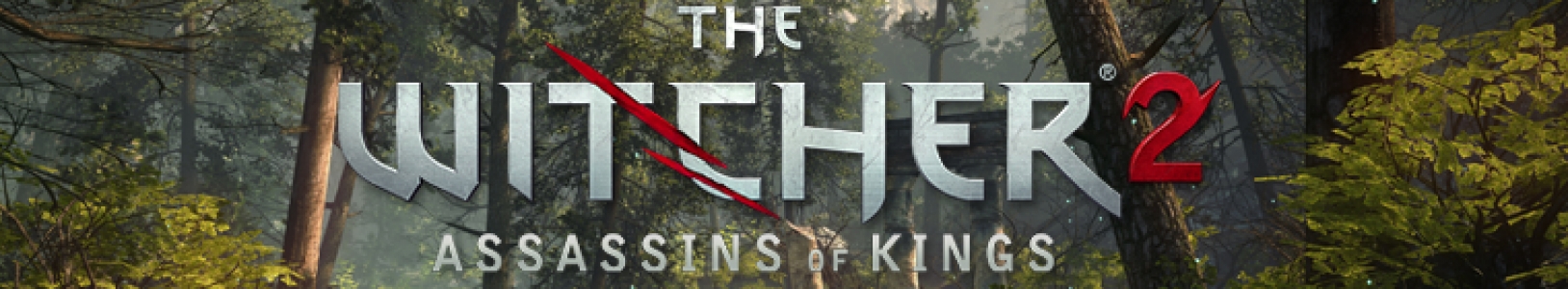 The Witcher 2: Assassins of Kings banner