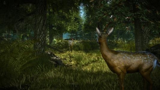 The Witcher 2: Assassins of Kings screenshot