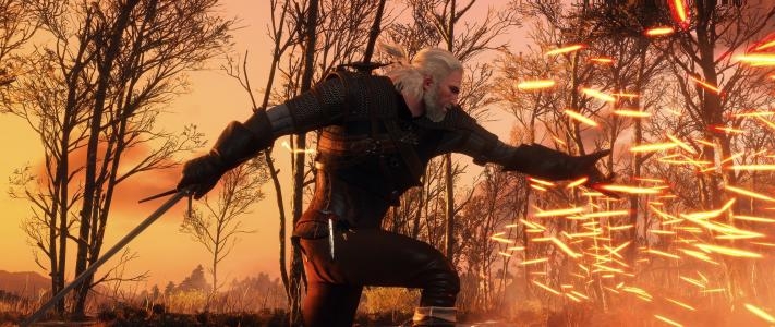 The Witcher 3: Wild Hunt Collector's Edition screenshot