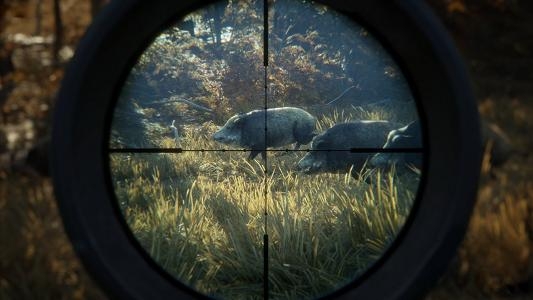 theHunter: Call of the Wild screenshot