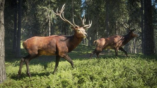 theHunter: Call of the Wild screenshot