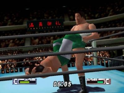 Virtual Pro Wrestling 2: Oudou Keishou screenshot