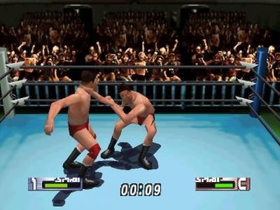 Virtual Pro Wrestling 2: Oudou Keishou screenshot