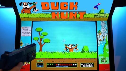 Vs. Duck Hunt