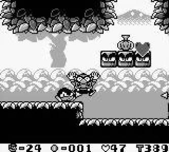 Wario Land: Super Mario Land 3 screenshot