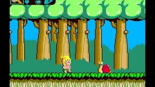 Wonder Boy screenshot