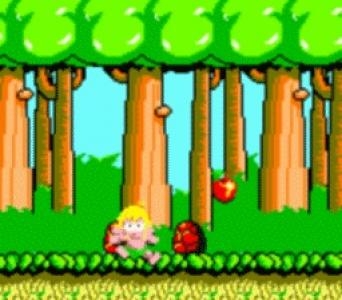 Wonder Boy screenshot