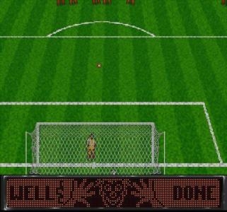 World Soccer '94: Road to Glory screenshot