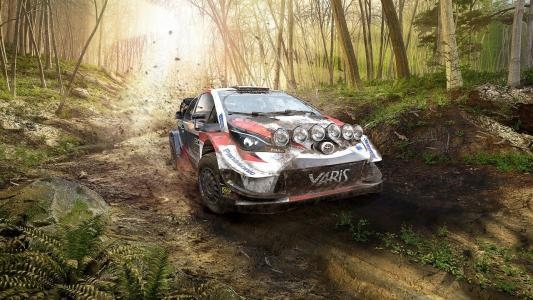 WRC 9 FIA World Rally Championship screenshot