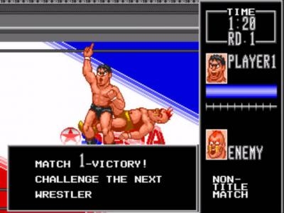 Wrestle War screenshot